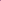 Purple Taffy- 2PC Lip Kit-cruelty free cosmetics-Sunny Leone